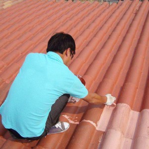 有機硅防水涂料雙贏防水廠家