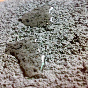 水泥基滲透結晶性防水涂料雙贏防水廠家