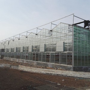 玻璃智能溫室廠家 廠家直銷 品質保證 山東玻璃智能溫室