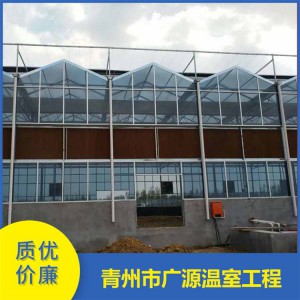 青州廣源大棚骨架加工 玻璃大棚溫室廠家直供
