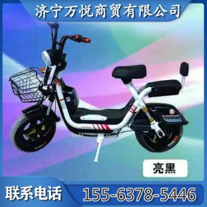 電動自行車小型踏板車小型助力電瓶車