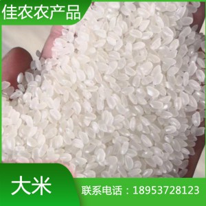 山東米廠大量現貨供應魚臺大米 珍珠米 魚臺圓粒大米