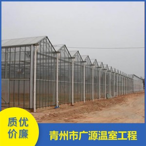 臨沂智能日光溫室工程價格 連棟玻璃溫室批發 各類連棟薄膜溫室制造