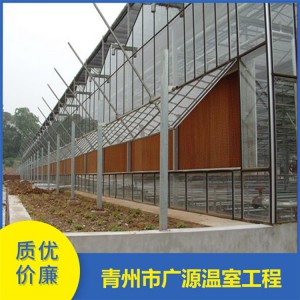 臨沂智能日光溫室工程價格 連棟玻璃溫室批發 各類連棟薄膜溫室制造