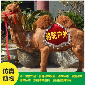 菏澤批發 仿真駱駝 價格低廉