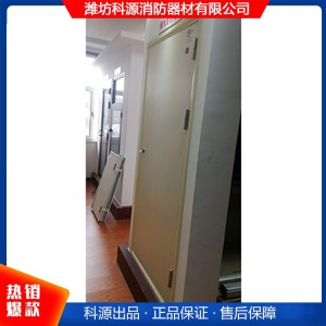 鋼木質(zhì)防火門 防火門產(chǎn)品 濰坊鋼木質(zhì)防火門 山東鋼木質(zhì)防火門