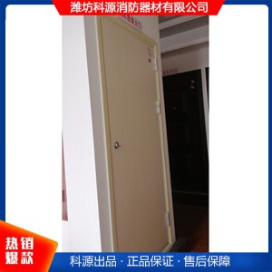 鋼木質(zhì)防火門 防火門產(chǎn)品 濰坊鋼木質(zhì)防火門 山東鋼木質(zhì)防火門