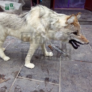 仿真狼 仿真動物模型廠家供應  廠家直銷  仿真動物  逼真仿真動物