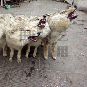 廠家直銷仿真狼 動物擺件 模型道具標本 純手工精細雕塑制作