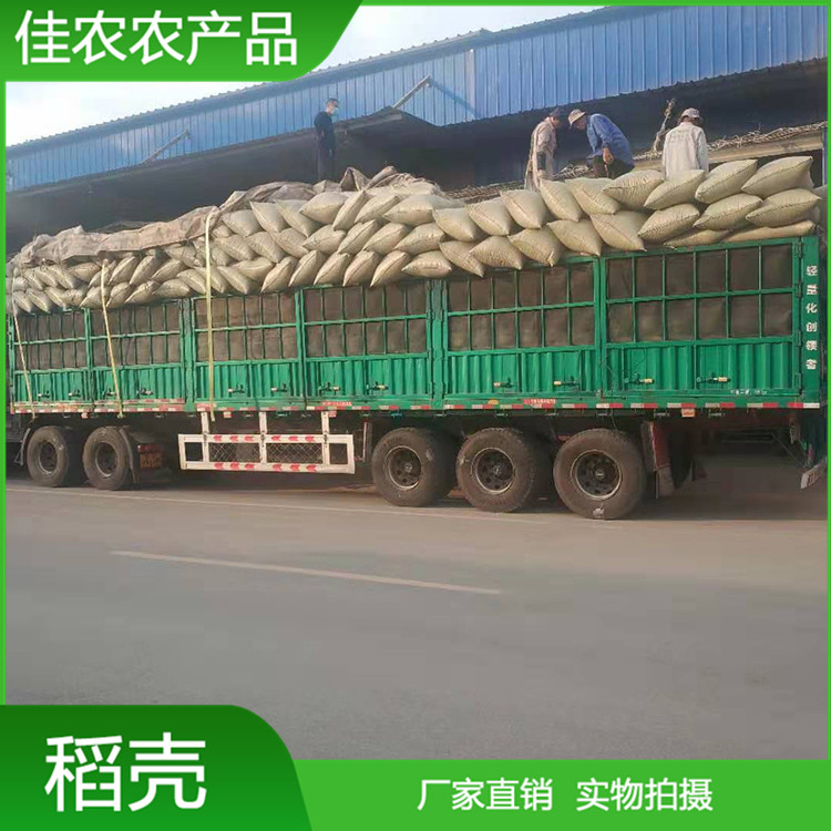 常年供應(yīng)新鮮稻殼 釀酒 除塵 壓縮壓塊稻殼 牧場墊料