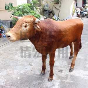 現貨供應仿真大黃牛 游樂園仿真皮毛動物模型擺件
