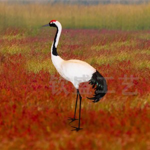 仿真丹頂鶴標本 仿真羽毛動物模型 景區(qū)創(chuàng)意擺件
