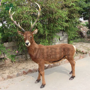 仿真仿真白唇鹿模型標(biāo)本 動(dòng)物博物館 影視道具