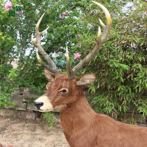 仿真白唇鹿模型 國(guó)欽皮毛動(dòng)物工藝品 公園景區(qū)動(dòng)物園擺件