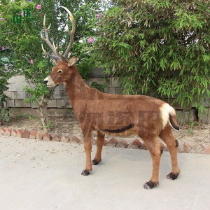 仿真仿真白唇鹿模型標(biāo)本 動(dòng)物博物館 影視道具