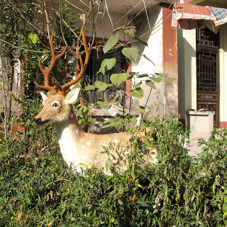 元澤皮毛仿真梅花鹿 大小各異仿真皮毛動物 元澤