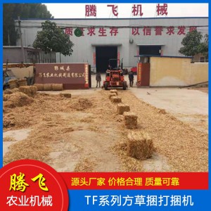牧草圓捆機(jī) 麥稻牧草打捆機(jī) 秸稈撿拾打捆機(jī) 方草捆打捆機(jī) 打捆機(jī) 騰飛打捆機(jī) 山東打捆機(jī)廠家 打捆機(jī)價(jià)格 騰飛農(nóng)業(yè)機(jī)械