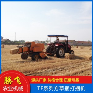 牧草圓捆機(jī) 麥稻牧草打捆機(jī) 秸稈撿拾打捆機(jī) 方草捆打捆機(jī) 打捆機(jī) 騰飛打捆機(jī) 山東打捆機(jī)廠家 打捆機(jī)價(jià)格 騰飛農(nóng)業(yè)機(jī)械