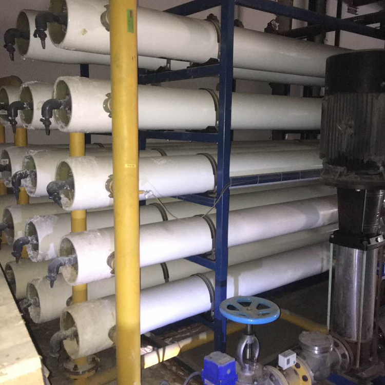 工業污水處理使用  EDI反滲透水處理設備  格信