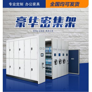 龍立 移動(dòng)檔案密集柜 多功能文件智能密集架 規(guī)格可定制