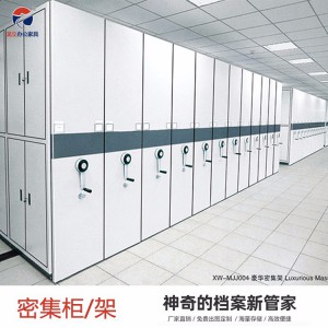 龍立 移動(dòng)檔案密集柜 多功能文件智能密集架 規(guī)格可定制