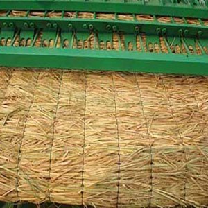 綠化稻草草苫草簾子 粗細(xì)均勻美觀 韌而不斷