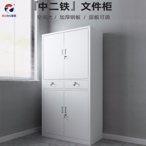 龍立辦公家具供應(yīng)二斗鐵皮文件柜 帶鎖抽屜儲(chǔ)物柜 加厚冷軋鋼 結(jié)實(shí)耐用