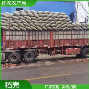 常年供應(yīng)新鮮稻殼 釀酒 除塵 壓縮壓塊稻殼 牧場墊料