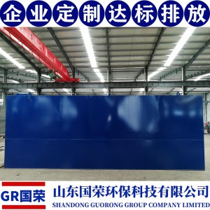 城鎮一體化生活污水處理設備生產廠家 國榮生活污水處理專用設備制造商