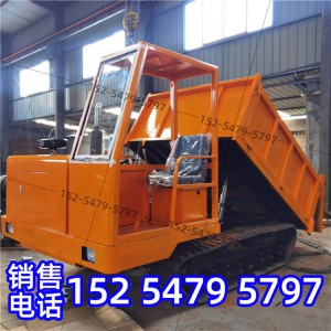 爬山虎履帶運(yùn)輸車小型履帶運(yùn)輸車爬山虎運(yùn)輸車田園山地履帶運(yùn)輸車